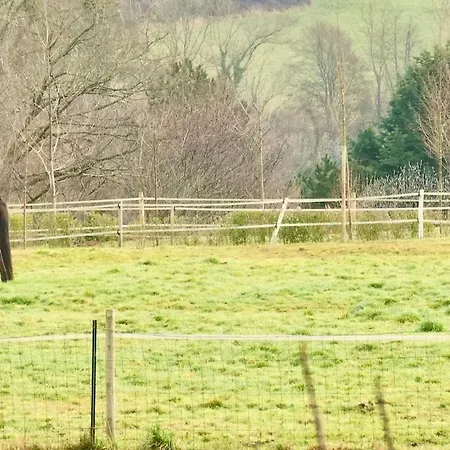 La Charreterie - Maison De Charme Avec Jardin & Aire De Jeux - Cote D'albatre Vakantiehuis